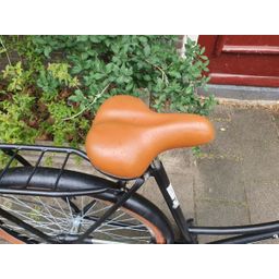 Wheelerz Omafiets Dames zwart 57cm 2020 (F.1194)