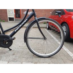 Pelikaan dutch classic zwart 56cm 2020 (F.1330)