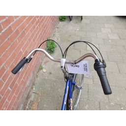 KENSINGTON raleigh blauw 57cm 2020 (F.1352)