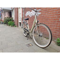 Montego liberty beige 2020 (F.1346)