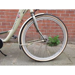 Montego liberty beige 2020 (F.1346)