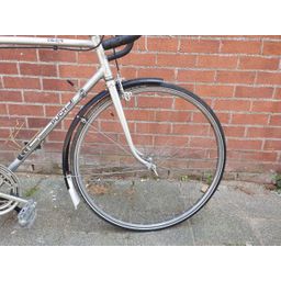 Puch Cavette zilver 2020 (F.1386)
