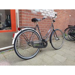 Batavus locarno Grijs 57cm 2020 (F.1368)