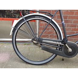 Batavus locarno Grijs 57cm 2020 (F.1368)