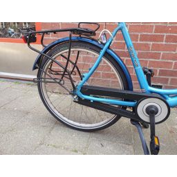 Sparta Amazone blauw 55cm 2020 (F.1370)