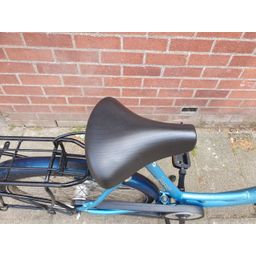 Sparta Amazone blauw 55cm 2020 (F.1370)