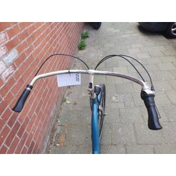 Sparta Amazone blauw 55cm 2020 (F.1370)