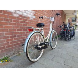 Batavus Blockbuster zilver 50cm 2020 (F.1382)