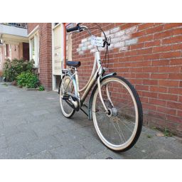 Batavus Blockbuster zilver 50cm 2020 (F.1382)