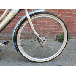 Batavus Blockbuster zilver 50cm 2020 (F.1382)