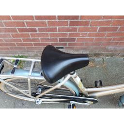 Batavus Blockbuster zilver 50cm 2020 (F.1382)