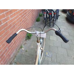 Batavus Blockbuster zilver 50cm 2020 (F.1382)