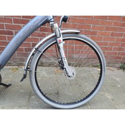 Puch heren Heren Grijs 61cm 2020 (F.1374)