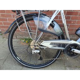 Gazelle Allure Heren zilver 57cm 2020 (F.1384)
