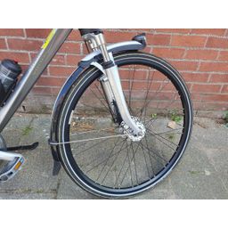 Gazelle Allure Heren zilver 57cm 2020 (F.1384)