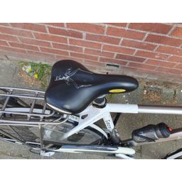 Gazelle Allure Heren zilver 57cm 2020 (F.1384)