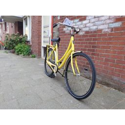 Sparta Granny geel 56cm 2020 (F.1372)