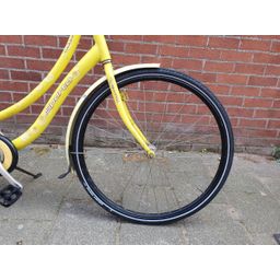 Sparta Granny geel 56cm 2020 (F.1372)