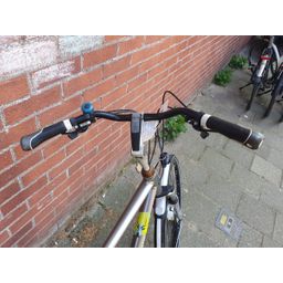 Gazelle Allure Heren zilver 57cm 2020 (F.1384)