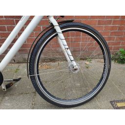 Gazelle NL wit 54cm 2020 (F.1356)