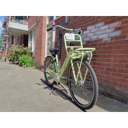 Gazelle Miss Grace Groen 49cm 2020 (F.1392)