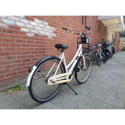 Sparta Pick up wit 53cm 2020 (F.1390)