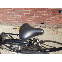 Sparta Original zwart 56cm 2020 (F.1406)