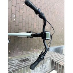 Gazelle Orange C7+ HMB Dames Light olive glans 49cm 2020 (F.1414)