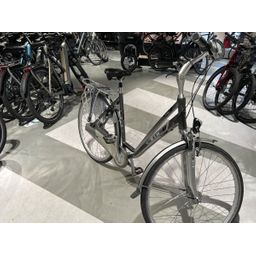 RIH Amega Dames Zilver 54cm 2022
