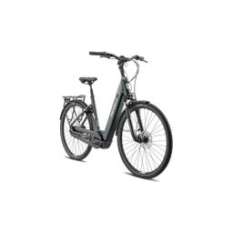 BESV CT 2.3 LS, Rock Gray (F.10122)