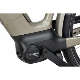 BATAVUS Finez E-Go Power Exclusiv, Champagne Goud Glans (8713568497145)