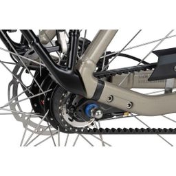 BATAVUS Finez E-Go Power Exclusiv, Champagne Goud Glans (8713568497145)