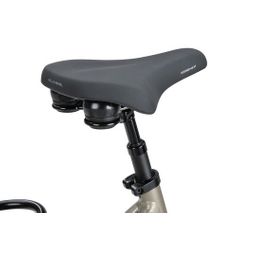 BATAVUS Finez E-Go Power Exclusiv, Champagne Goud Glans (8713568497145)