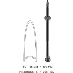 Schwalbe Ventiel sc tubeless 100mm sv zw set a 2 (4026495876292)