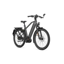 GAZELLE Eclipse Speed, Anthracite Grey Mat (8717231365120)