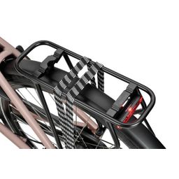 SPARTA C-Grid Energy DAMES New Pink Matt 51cm 2024 (8713568499668)