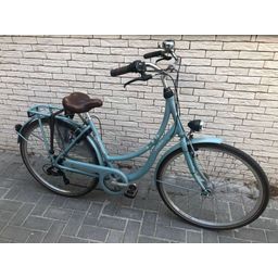 Oxford Papillon 7v Dames Turquoise 50cm 2021 (DVOV50OZC1JPL7VFI)
