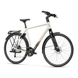KOGA F3 7.0 Heren Ivory High Gloss 50cm 2024 (8713568535168)