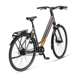 KOGA F3 8.0 Dames Limestone High Gloss 50cm 2024 (8713568533829)