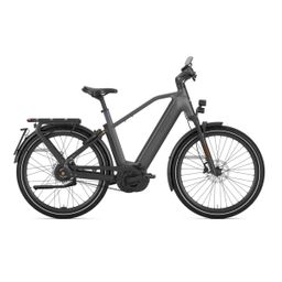 GAZELLE Eclipse Speed Heren Anthracite Grey Mat 50cm 2025 (8717231365120)