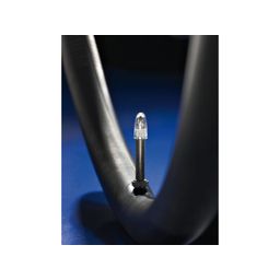 Bib 12.5x1.75-2 1/4 frans 40mm schwalbe 47/62-203 (4026495099820)