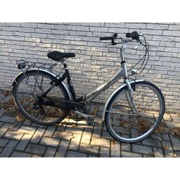 Thompson stylus Dames Grijs blauw 50cm 2015 (F.7976)