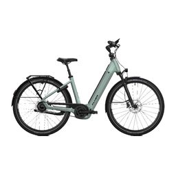 Flyer Gotour 7.43 800wh Green Shading Gloss 53cm L 2026 (8720602320758)