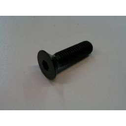 Peugeot Remschijfbout speedfight v+a / vivacity (8717289116132)