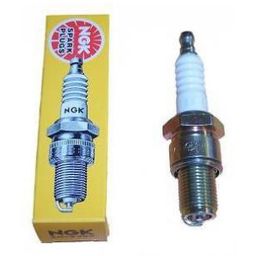 Bougie Ngk bpr8hs (0087295137253)