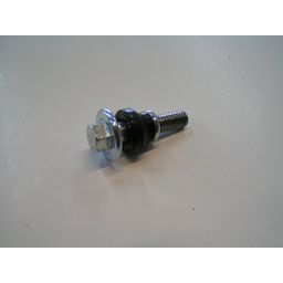 Kymco Ky kickstartdekselbout 30mm agil/peop s/new dink (8717688119284)