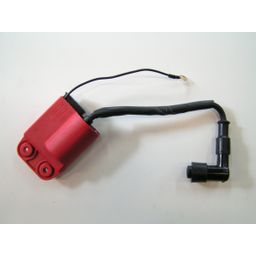 Edge Ontstekingsbox/bobine/cdi 2t  (8718404044811)