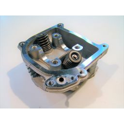 Benzhou Cilinderkop 50cc kompleet gy6 agility (lange kleppen) (8718336045412)