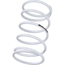 Malossi Koppelingveer mal ho/ky/pe/pi wit (2912658.W0)