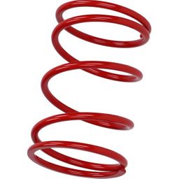 Malossi Koppelingveer mal ho/ky/pe    rood (297043.R0)